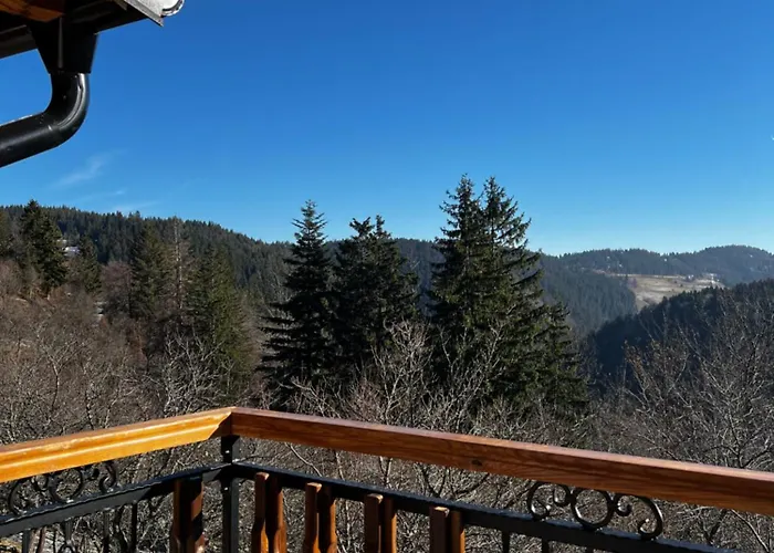 Brvnara Pogled Zlatara 度假居